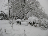 December 24, 2008, Pt. 2